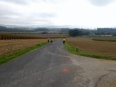  Blick auf die Wanderroute zur Biramühle 