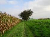  Blick auf die Wanderroute 