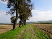  Blick auf die Wanderstrecke 