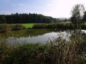  Blick zum idylisch gelegenen Waldteich 