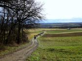  Blick auf die Wanderstrecke 