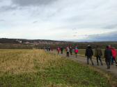  Wanderroute nach Maissau 