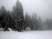  herrliche Winterlandschaft 