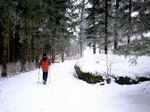  Wanderroute durch den Wald des Kasbergs 
