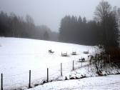  Wildgatter in Klein Reinprechts 