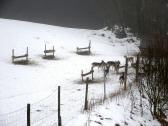  Wildgatter in Klein Reinprechts 