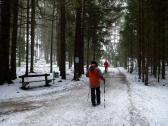  Wanderweg bei Gro Gerungs 