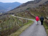 Wanderroute am Welterbesteig bzw Weinskulpturenpfad 