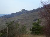  Fernblick zur Burgruine Drnstein 