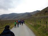  Wanderroute durch die Weinrieden Frauengrten 
