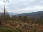  schner Fernblick ins Donautal 