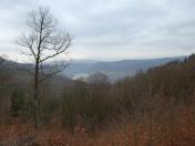 schner Fernblick ins Donautal nach Drnstein und nach Rossatz-Arnsdorf 