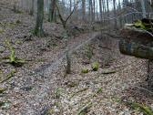  Wanderroute auf dem Welterbesteig im Pfaffental 