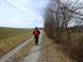  Wanderweg in der Nhe von Scheibenhof 