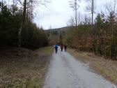  Wanderweg durch das Frauenbachtal 