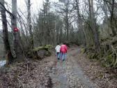  auf schnen Waldwegen bergan 