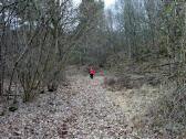  auf schnen Waldwegen bergan 