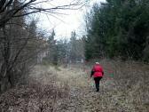  auf schnen Waldwegen bergan 