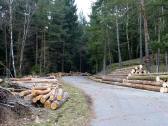  Wanderroute auf schnen Forstwegen 