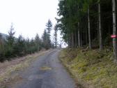  Wanderroute auf schnen Forstwegen 