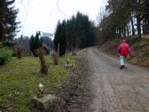  Wanderroute auf schnen Forstwegen 