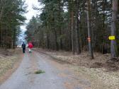  Wanderroute auf schnen Forstwegen 