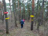  Wanderroute auf schnen Waldwegen 