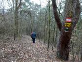  Wanderroute auf schnen Waldwegen 