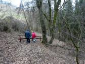  Wanderroute auf schnen Waldwegen 