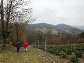  bergab ins Weitental 