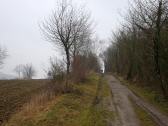  leicht bergan auf dem Veitsberg 