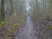  leicht bergan auf dem Veitsberg 