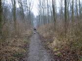  Wanderroute am Bisamberg 