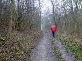  Wanderroute am Bisamberg 