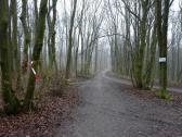  Wanderroute am Bisamberg 
