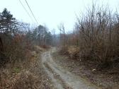  Wanderroute bergab nach Bisamberg 