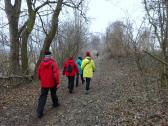 Wanderroute entlang des Donaualtarms 