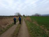 Wanderroute durch die Riede Runsen nach Kotzendorf 