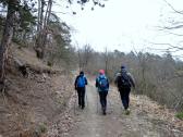  Wanderroute auf schnen Waldwegen 