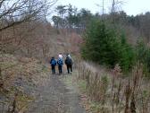  Wanderroute auf schnen Waldwegen 
