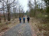  Wanderroute auf schnen Waldwegen 