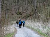  Wanderweg bergab vom Schafberg 