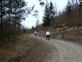Wanderroute auf schnen Forstwegen Richtung Tautendorf 
