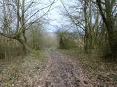  Wanderweg zum Aussichtsplatz 