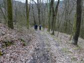  Wanderroute bergab ber den Wurzelsteig 