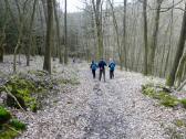  Wanderroute bergab ber den Wurzelsteig 