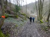  Wanderroute bergab ber den Wurzelsteig 