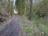  Wanderroute bergab ber den Wurzelsteig zur Goldberggasse 