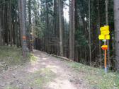  Wanderroute auf schnen Waldwegen 