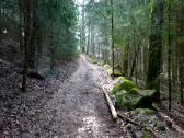  Wanderroute auf schnen Waldwegen 